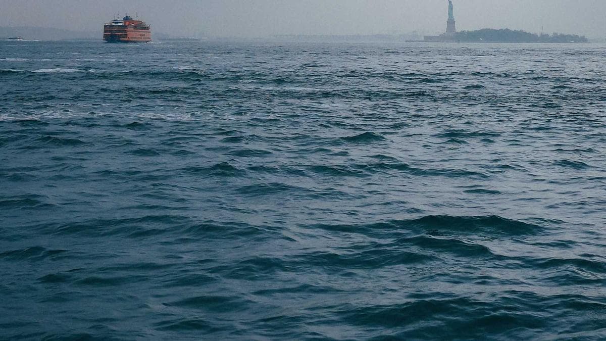 Stress Insights Pro Dashboard Preview